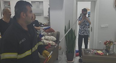 Ordu'da piknik yapan ailenin çantasına giren yılanı itfaiye ekipleri çıkarttı