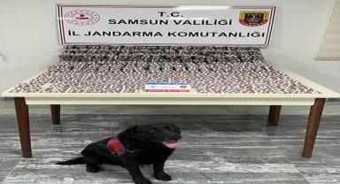 Samsun'da haziran ayında çeşitli suçlardan aranan 615 şüpheli yakalandı 