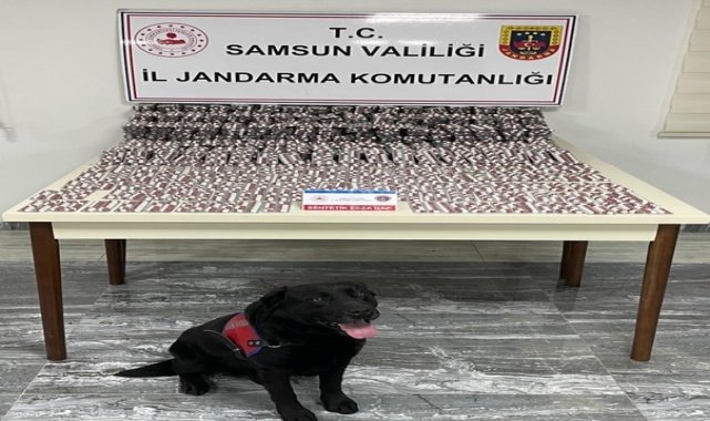 Samsun'da haziran ayında çeşitli suçlardan aranan 615 şüpheli yakalandı