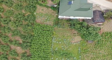 Trabzon'da dron destekli uyuşturucu operasyonunda 1 kişi yakalandı