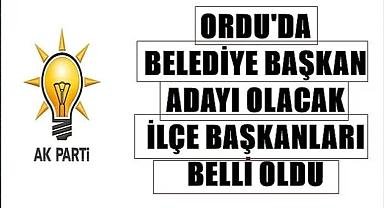Ordu'da AK Parti'de belediye başkan adaylığı için istifa edecek ilçe başkanları belli oldu