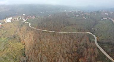 BÜYÜKŞEHİRİN ULAŞIM SEFERBERLİĞİ SÜRÜYOR