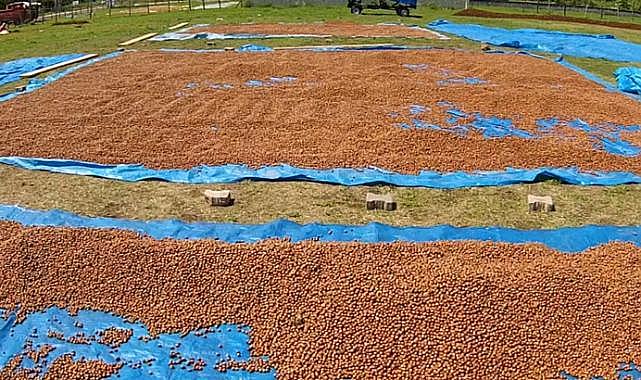Arslantürk'ün 250-300 Lira Tahmini Tuttu, Sıra 400 Lira Bandında!