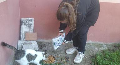 ÜNYE BELEDİYESİ'NDE ÜRETİLEN MAMALAR MİNİK ELLERLE SEVGİYLE DAĞITILDI