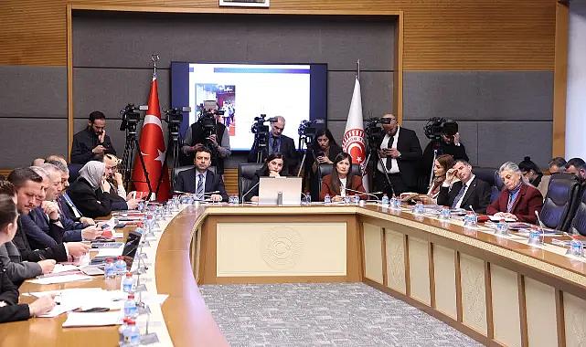 Şanlıtürk: