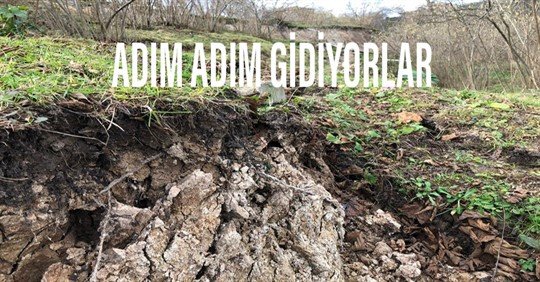 ADIM ADIM GİDİYORLAR