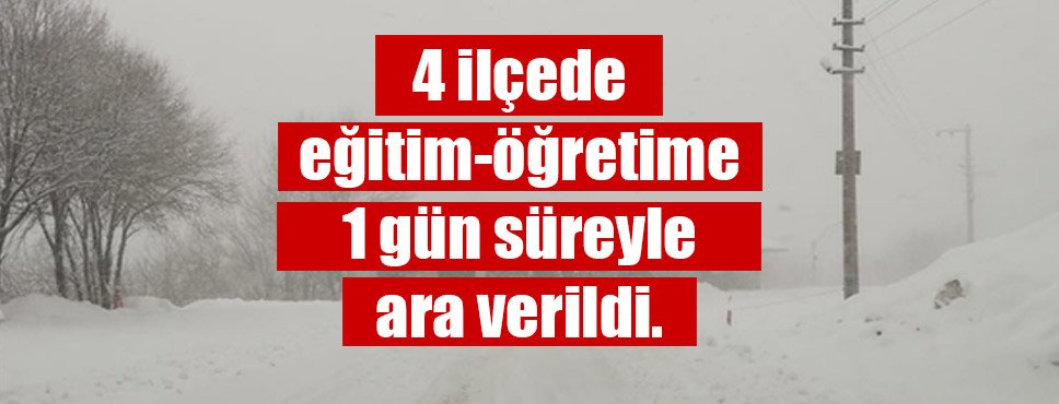 4 ilçede eğitim öğretime 1 gün ara verildi