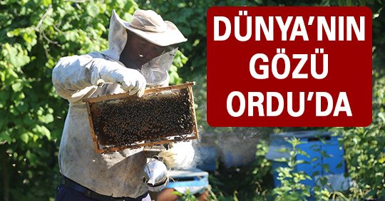 DÜNYA’NIN GÖZÜ ORDU’DA