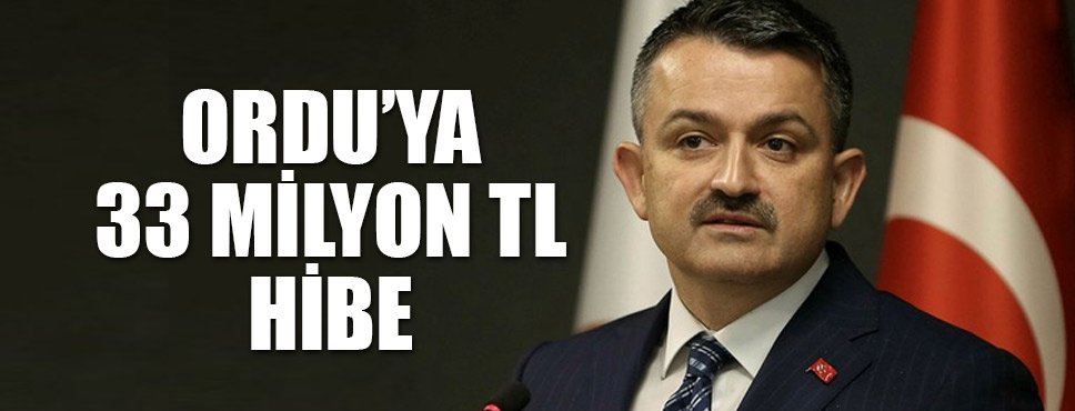 ORDU’YA 33 MİLYON TL HİBE