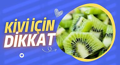 Kivi üretiminde nelere dikkat etmeli?